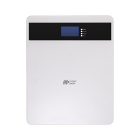 Батарея LiFePo4 PowerPlant 25.6V 100Ah 2560Wh (NV823185)